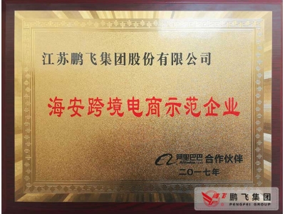 (2017年12月)阿里巴巴海安跨境電商示范企業(yè)